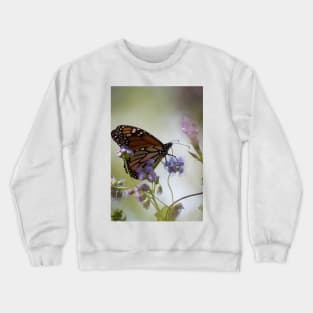 Migration Series II Crewneck Sweatshirt